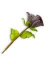 BOCCIOLO - Vase PERVINCA LONG, Blume aus Muranoglas - Geschenksartikel