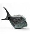 DORY | Pesce tropicale argento | Sculture | Murano Store