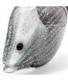 DORY | Pesce tropicale argento | Sculture | Murano Store