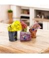 POLLOCK | Goti de Fornasa con Foglia Argento | Murano-Store
