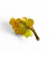 VIGNA | Grappolo d'uva 14 Chicchi | Ambra satinato | Murano-Store