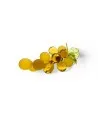 VIGNA | Grappolo d'uva 14 Chicchi | Ambra satinato | Murano-Store