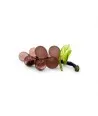 VIGNA | Grappolo d'uva 9 Chicchi | Ametista scuro | Murano-Store