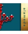 ALAMEDA | Lampadari Contemporanei | Vetro Rosso | Murano-Store