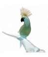 ROMEO | Loro de cristal Celeste con hoja de oro | Murano-Store