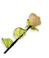 BOCCIOLO - LONG IVORY Vase Blume aus Muranoglas - Geschenksartikel