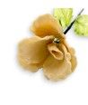 BOCCIOLO - LONG IVORY Vase Blume aus Muranoglas - Geschenksartikel
