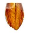 LORE | Kolibri-Paar | Tiere aus Muranoglas | Murano Store